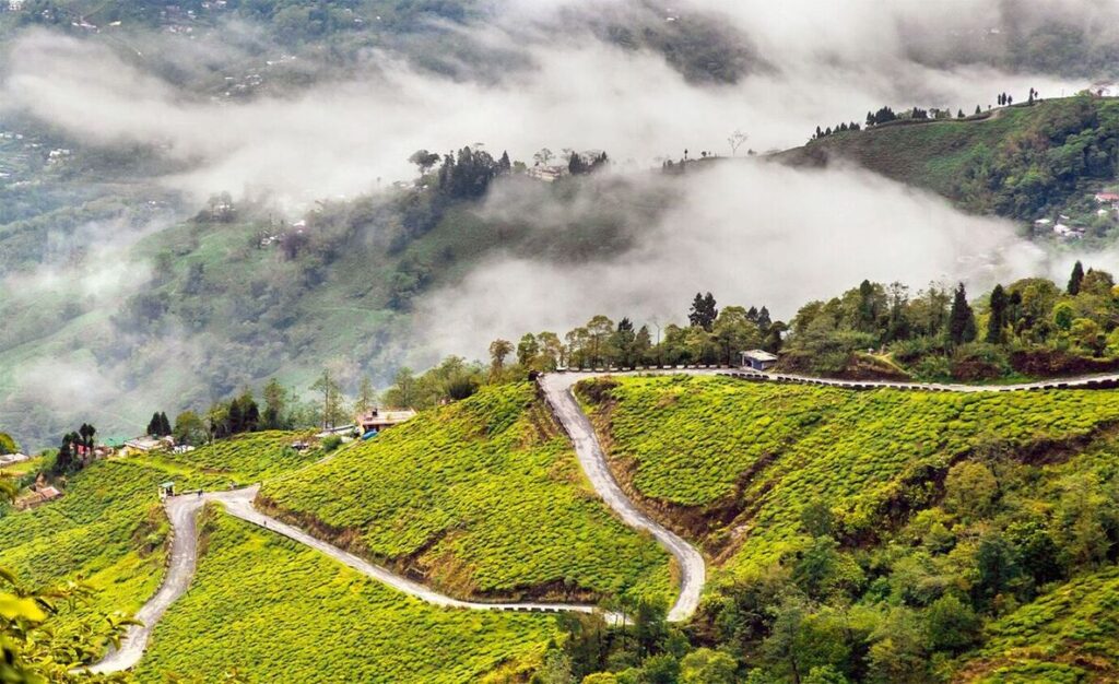 Darjeeling Group Tour
