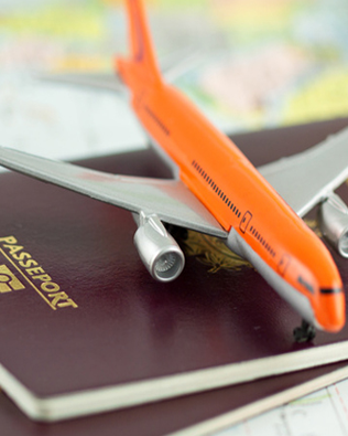 Visa Passport Consultation
